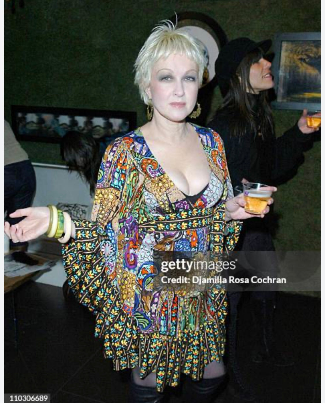 Betsey Johnson Fall 2007 Bambi Dress